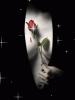 anim240320mobildesign.atw.hu_0203.gif